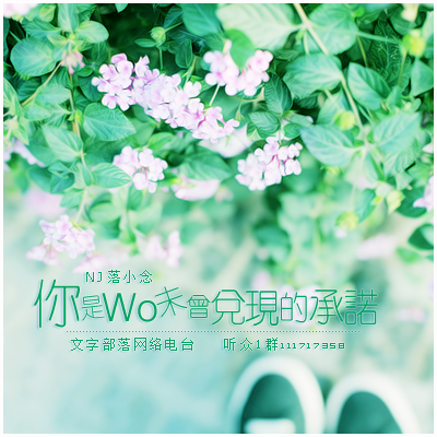 你是我未曾兑现的承诺