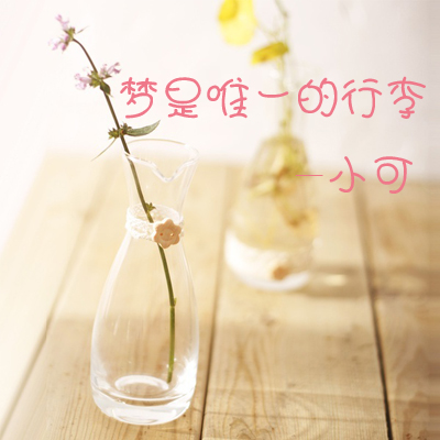 梦是唯一的行李