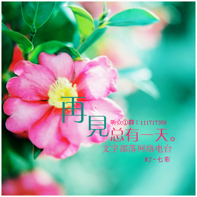 再见，总有一天